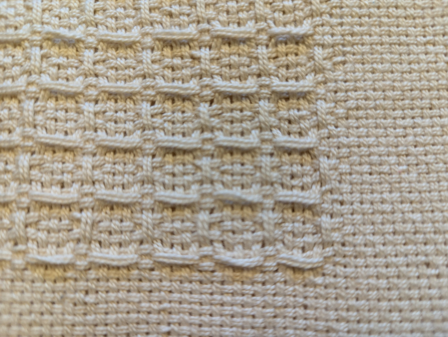 Window Pane 5