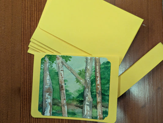 Greeting Cards: Birch Woods Set of 5