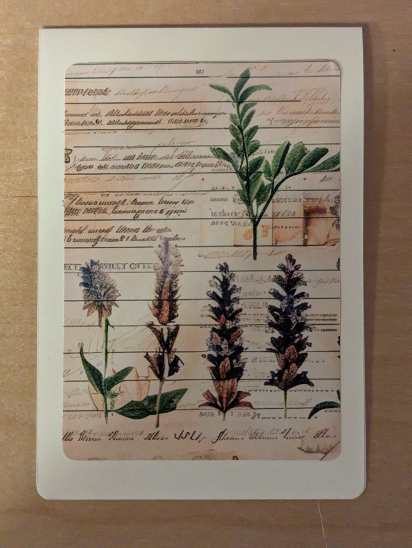 Card: Lavender