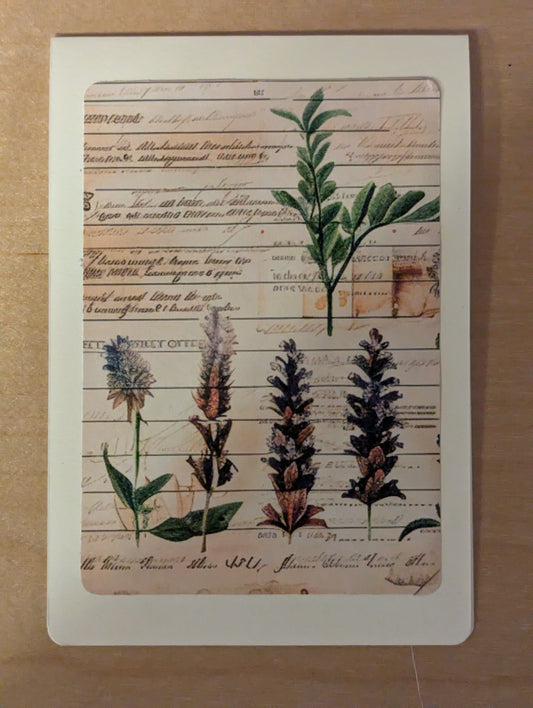 Greeting Card: Lavender