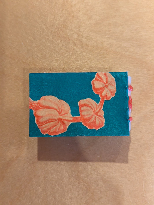 Journal: Mini book, teal