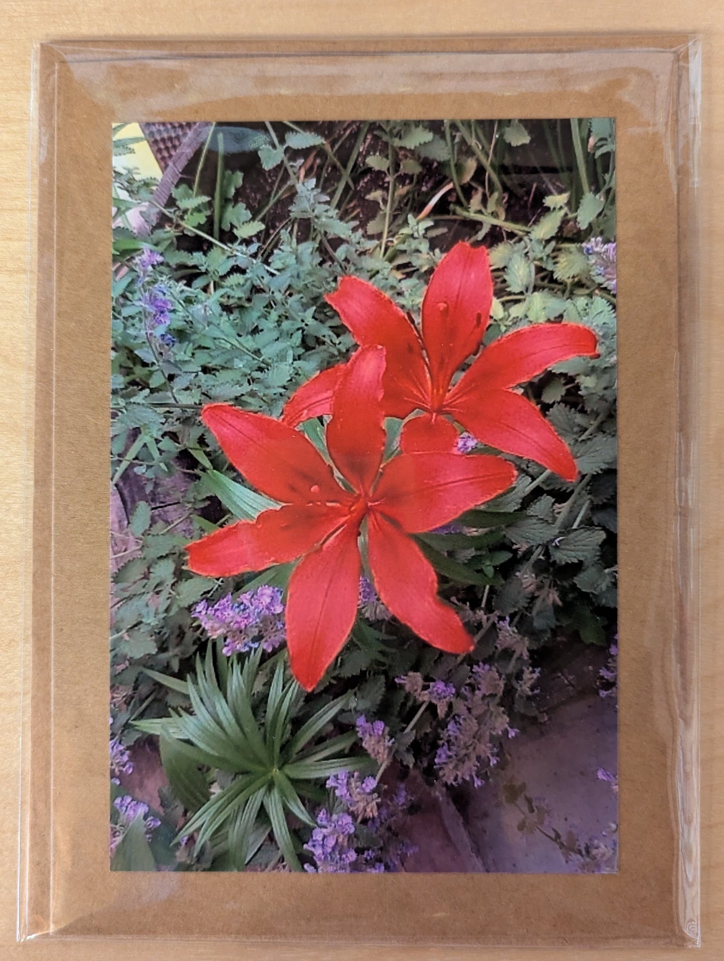 Greeting Card: Lilies N4-032