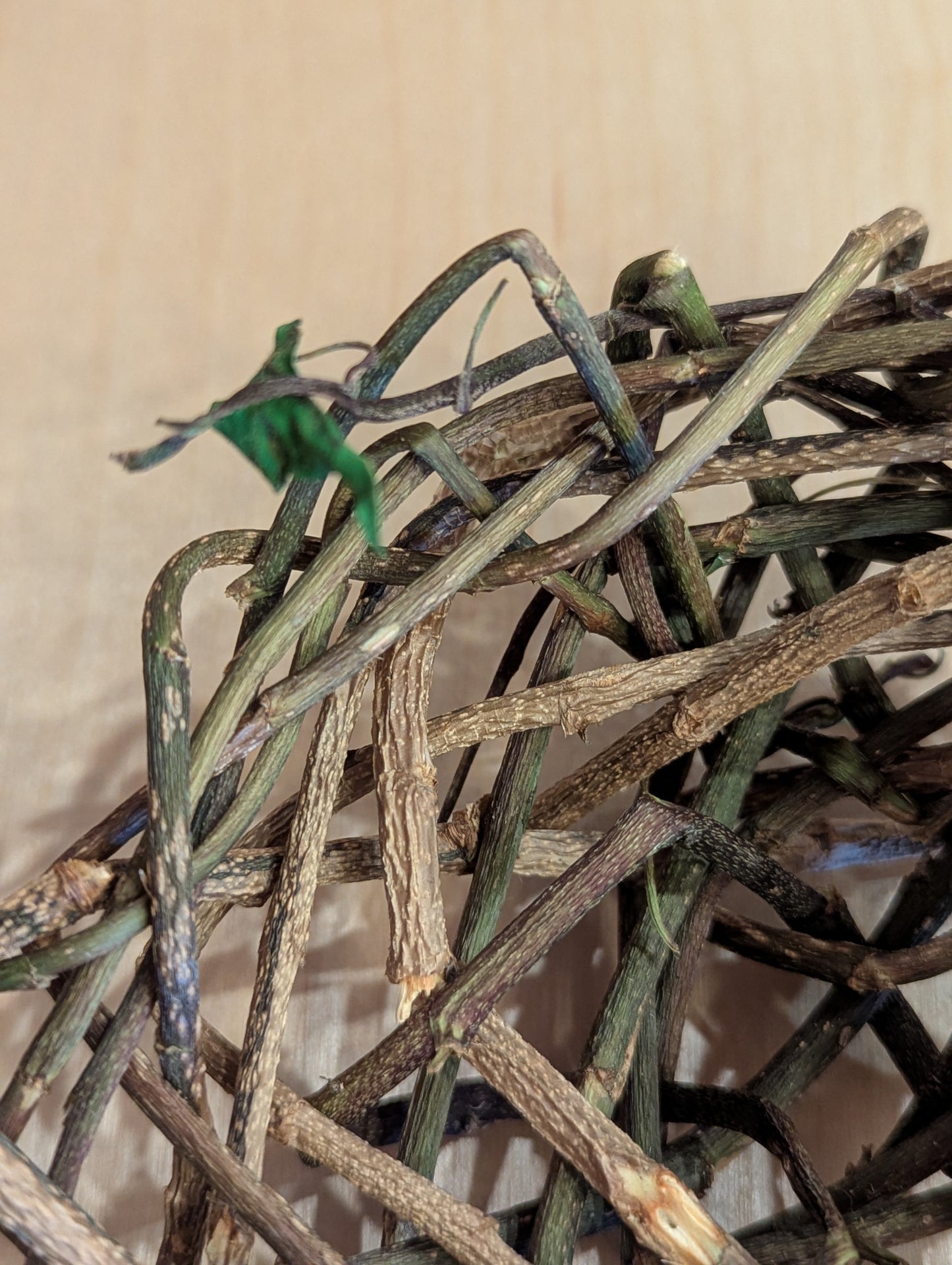 Sculpture: Nest, Rustic Ivy