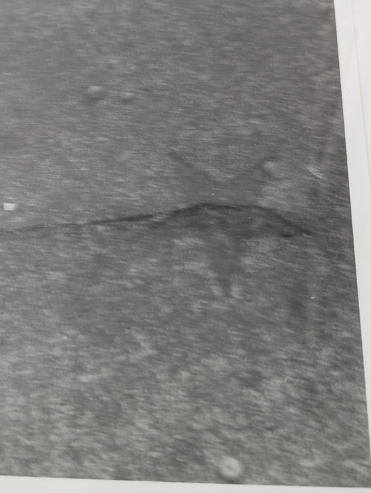 Close up of a black and white photo of stars pressed into a concrete sidewalk