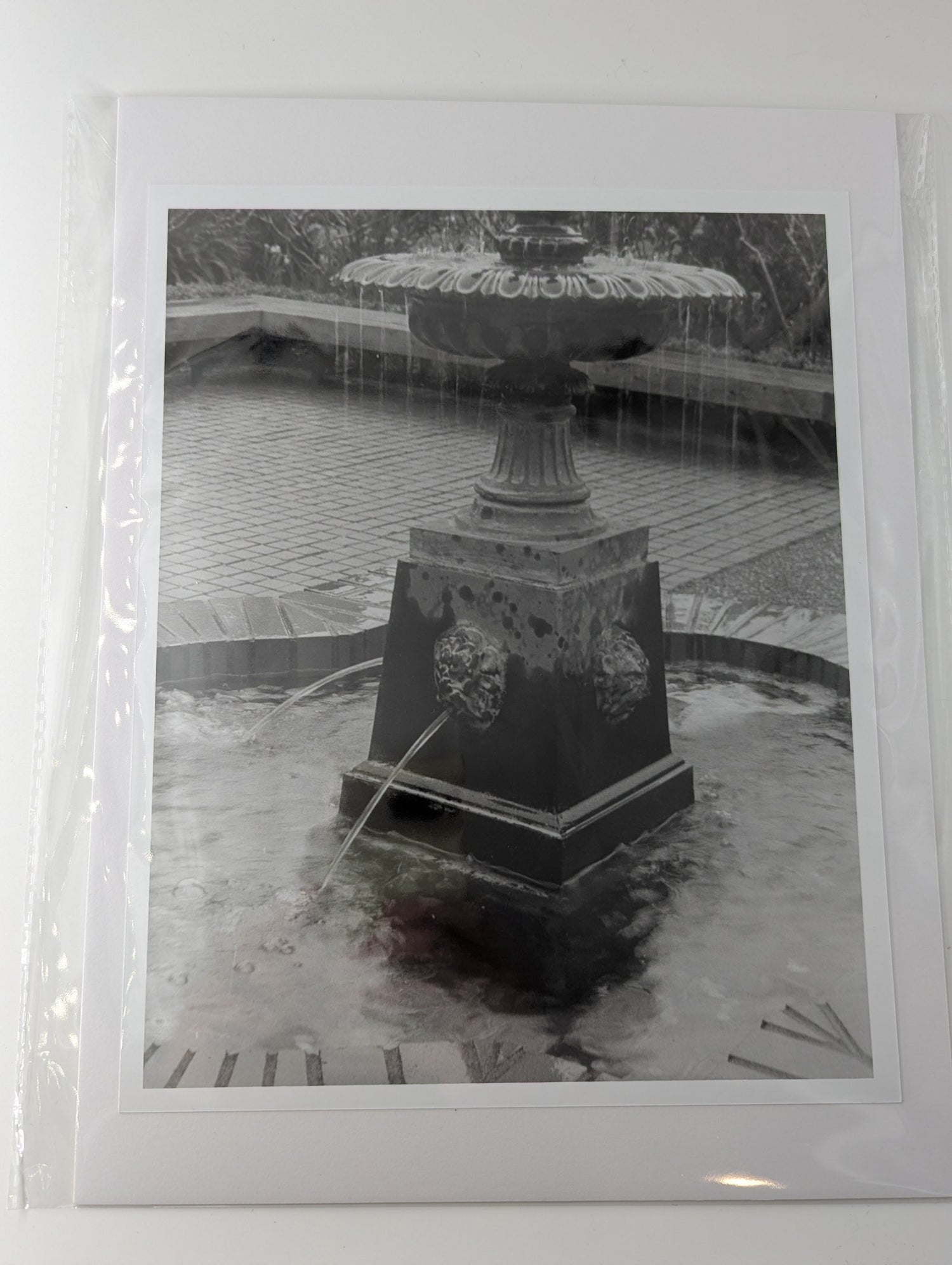 Black and white photograph of the fountain in Lithia Park, Ashland, Oregon.