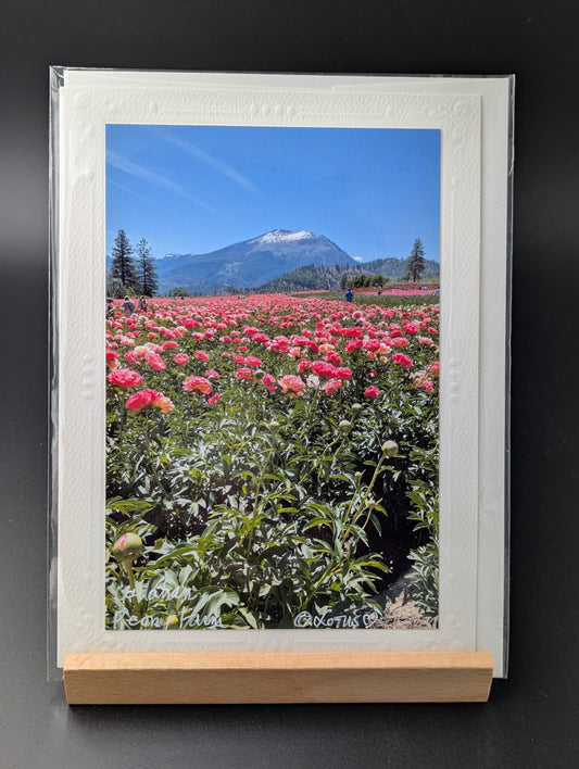 Card: Peony Farm