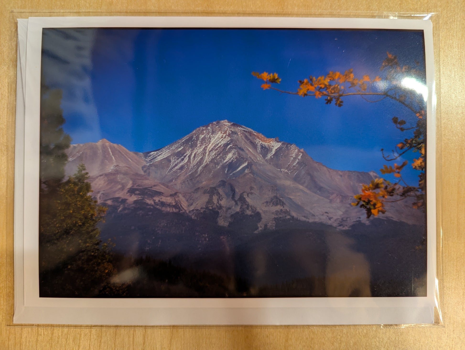 Hand made card showcasing the shift from summer to autumn. A beautiful view of Mt. Shasta.