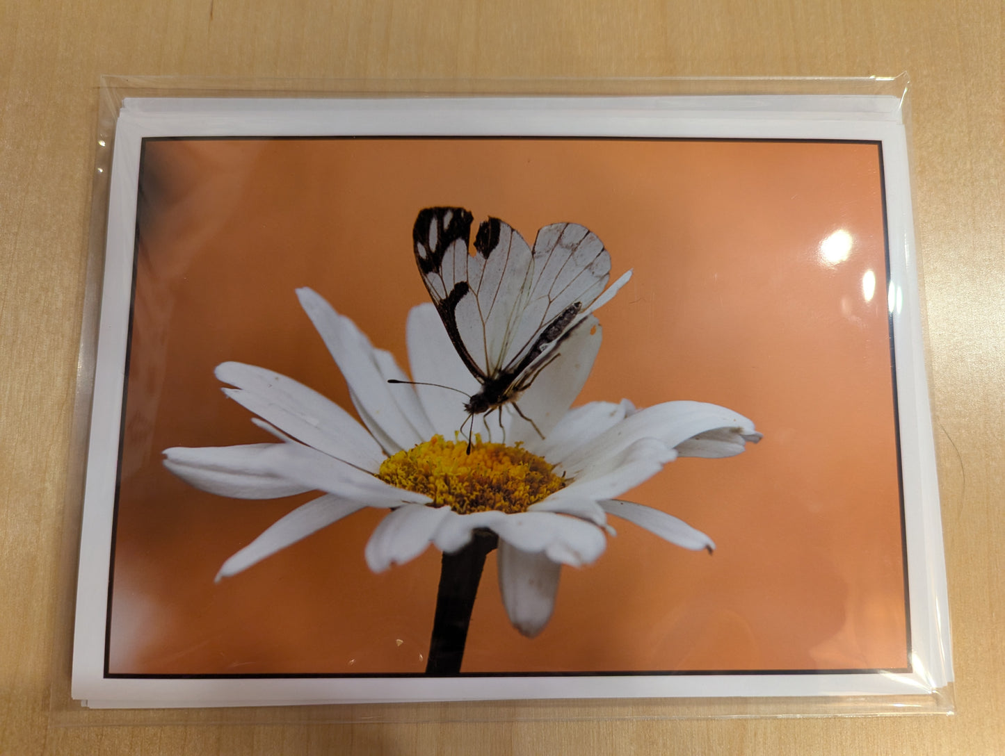 Hand made greeting cards. Delicate photography captures a pine white visiting a Shasta daisy. These sublime cards are blank inside for your sentiment and sold as a pack of 4 cards.
