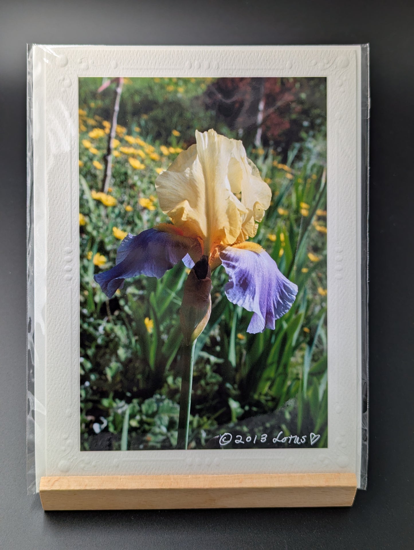 Greeting card with a photograph of an iris