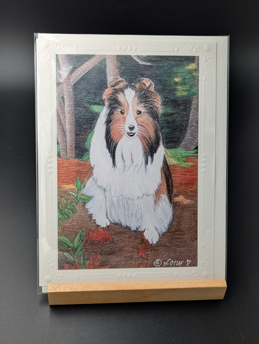Hand drawn greeting card featuring a Shetland Sheepdog