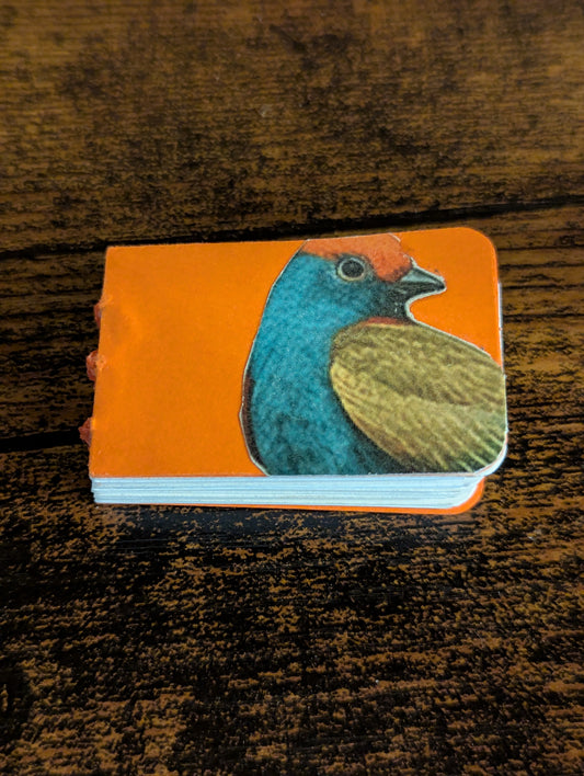 Mini Orange Bird Book