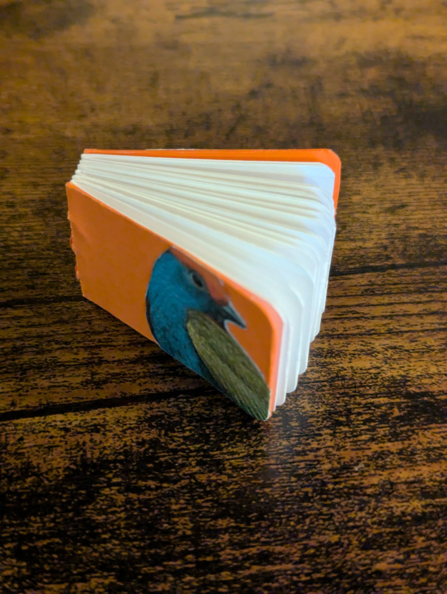 Mini Orange Bird Book
