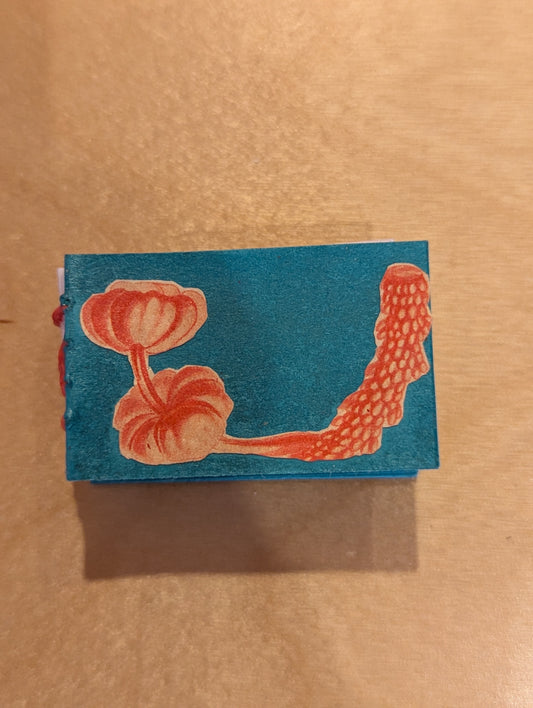 Journal: Mini book, teal