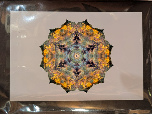 Card: Mandala M3 013