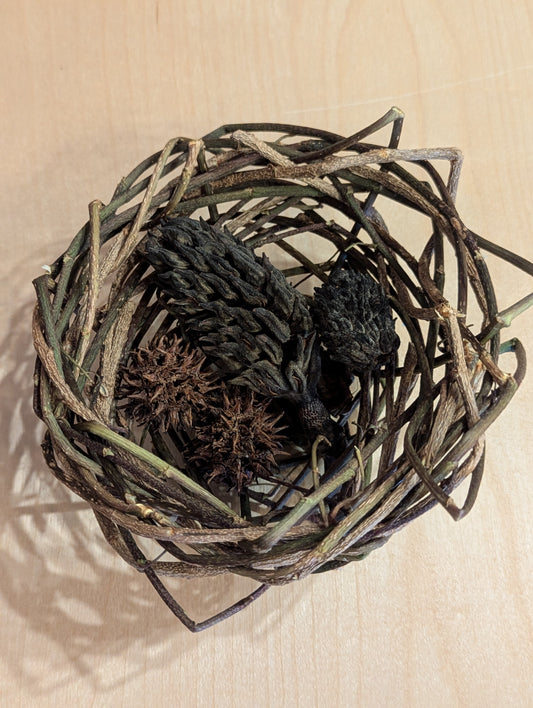 Sculpture: Nest, Ivy