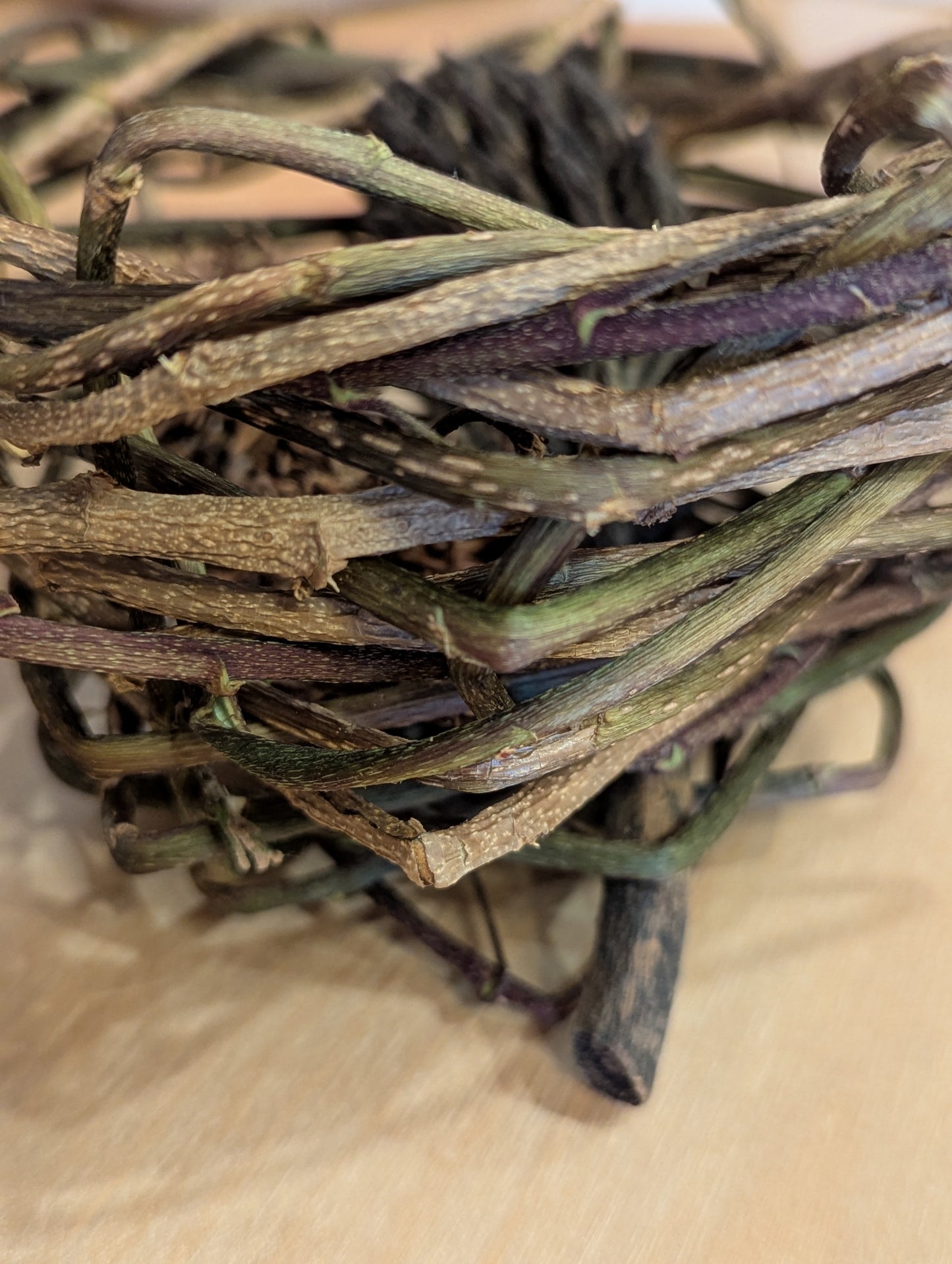 Sculpture: Nest, Ivy