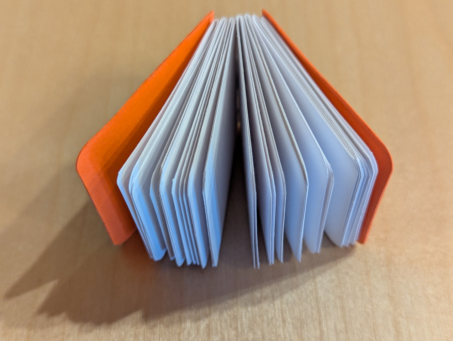 Journal: Cunning Crow mini book