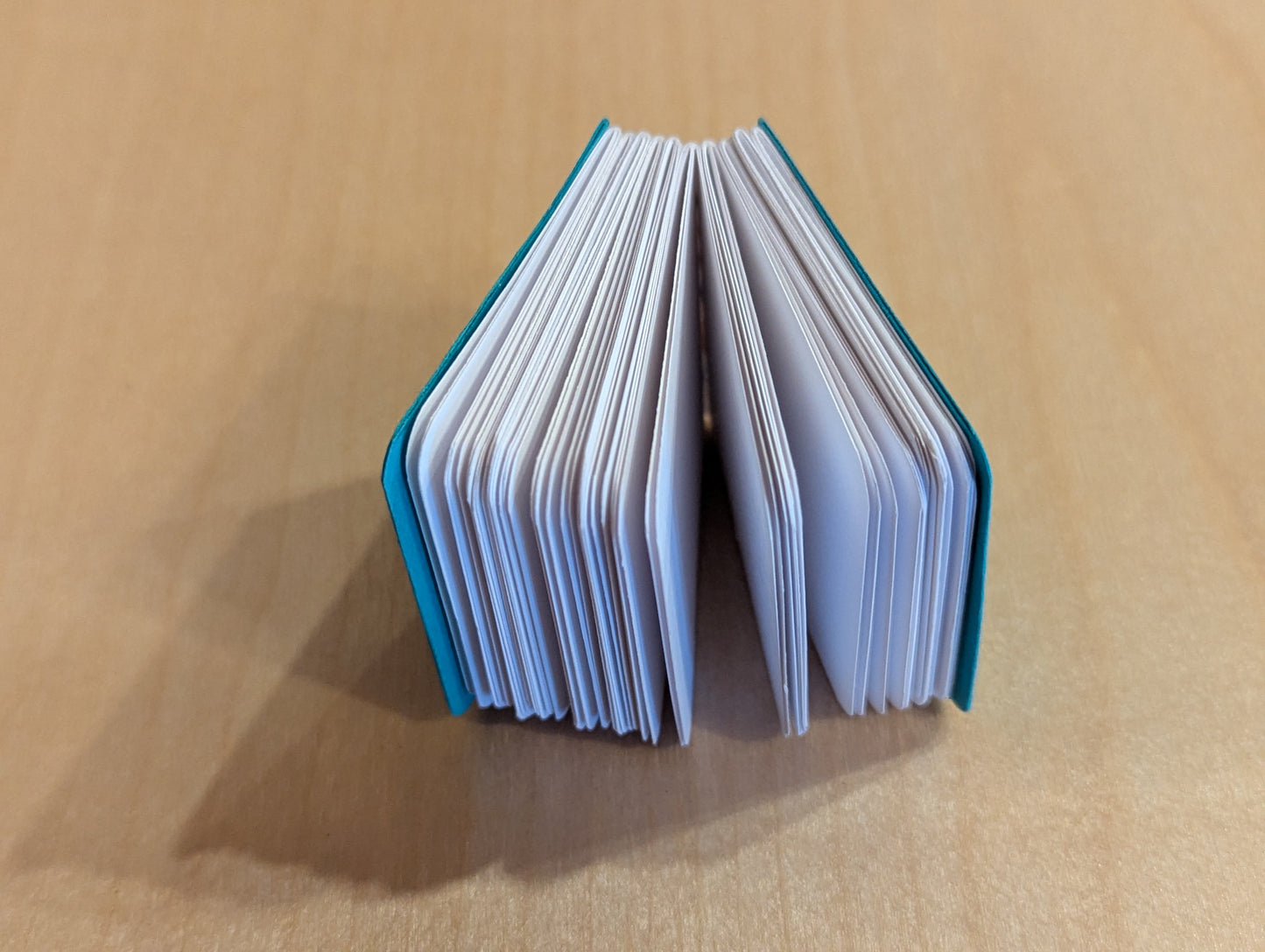 Journal: Rose mini book