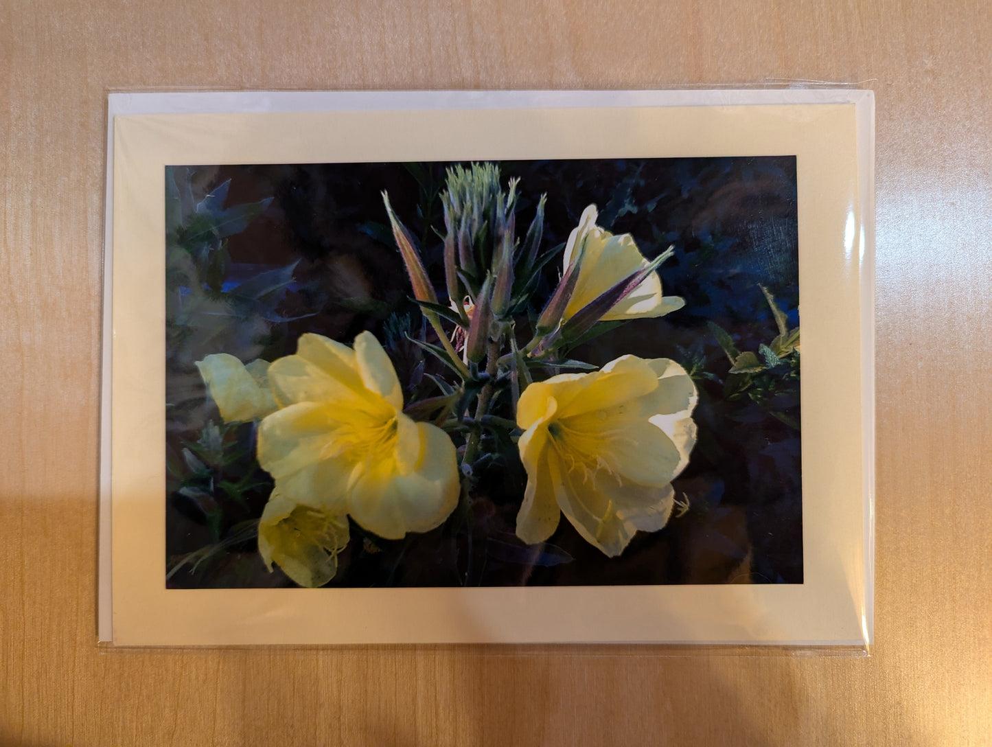Greeting card: Sweet William N2-032