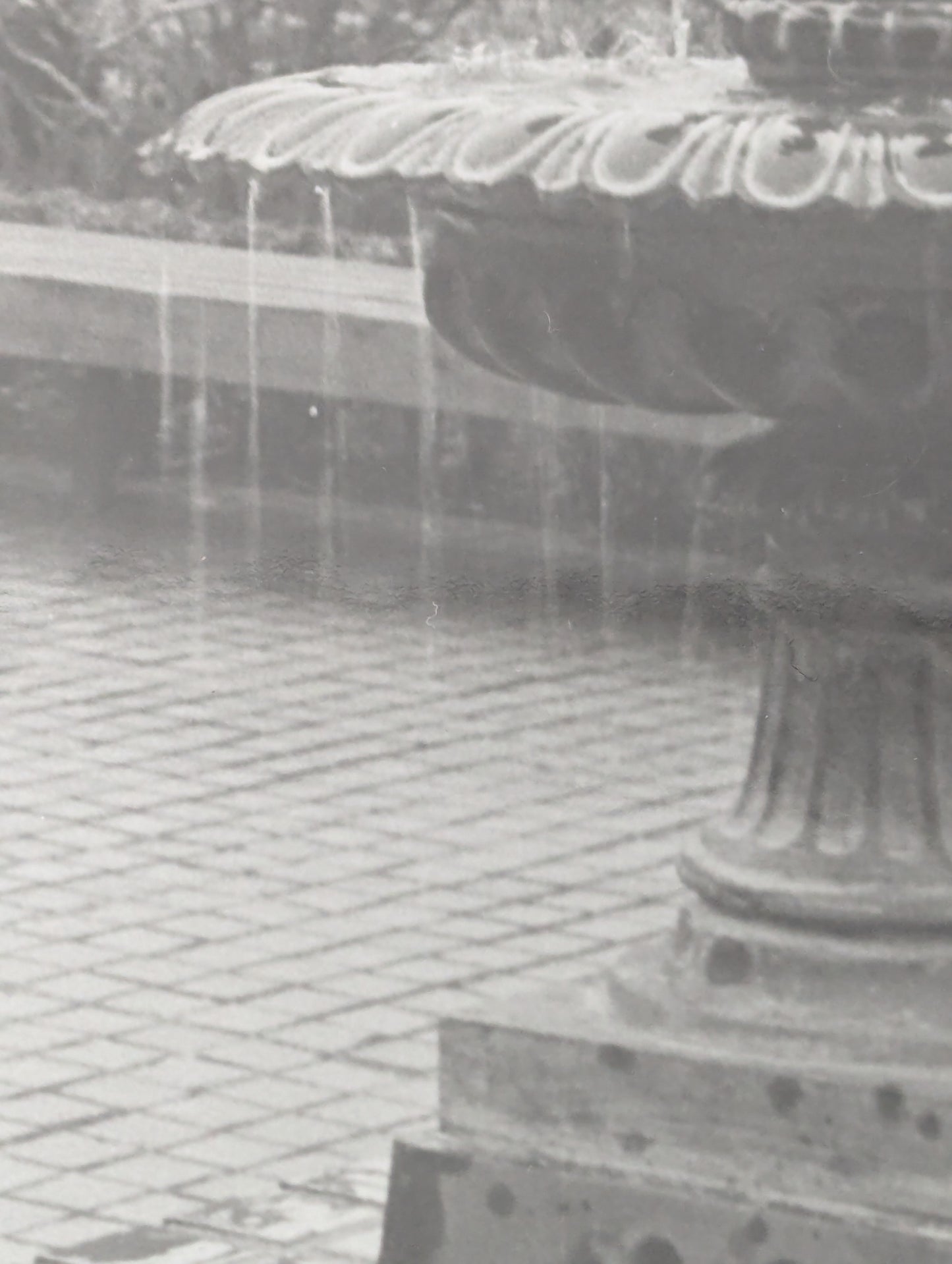 Close up of a black and white photograph of the fountain in Lithia Park, Ashland, Oregon.