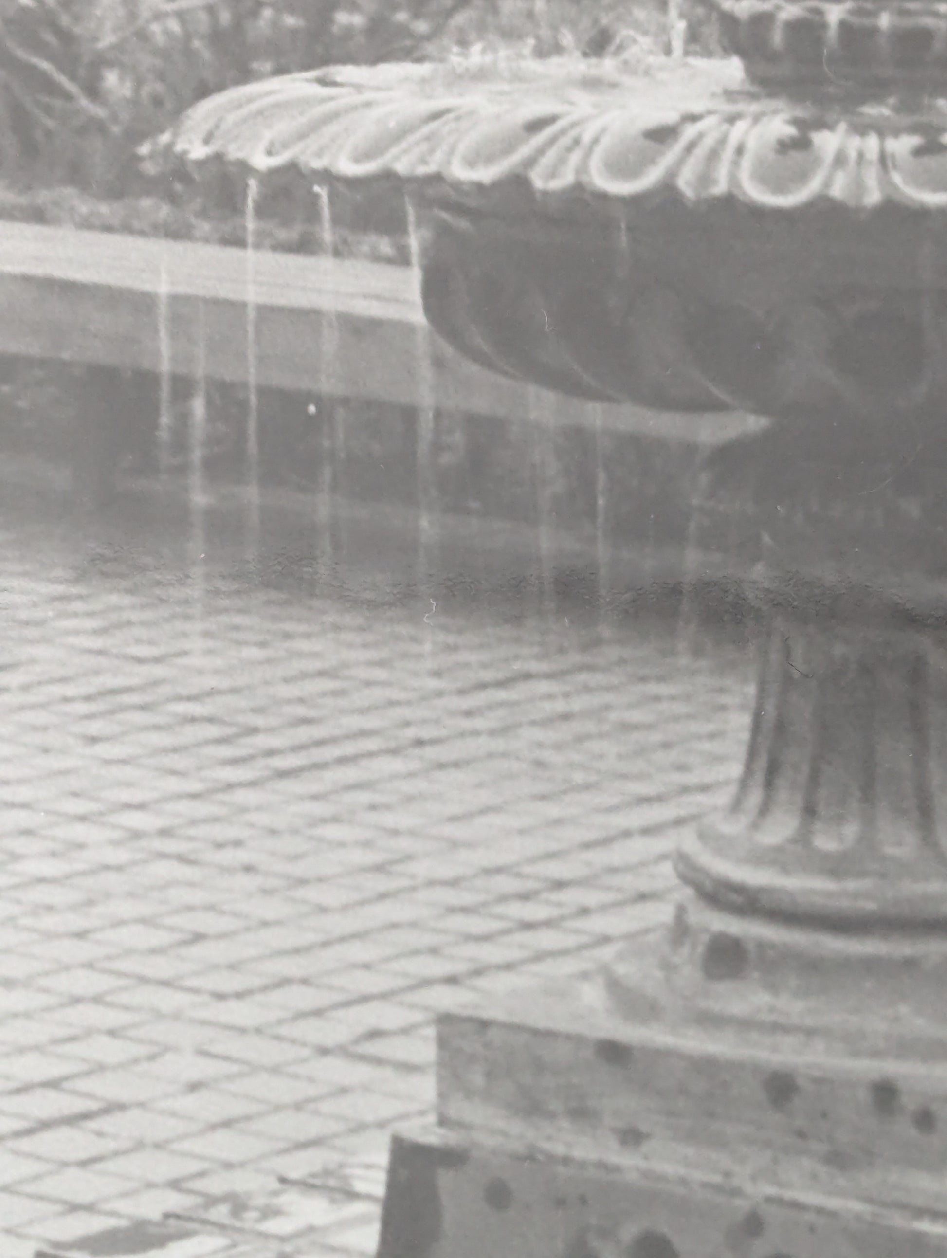 Close up of a black and white photograph of the fountain in Lithia Park, Ashland, Oregon.