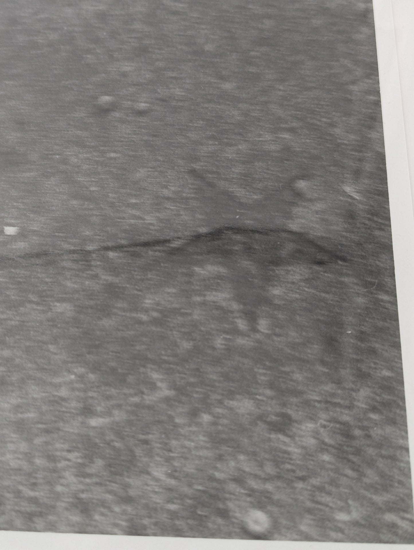Close up of a black and white photo of stars pressed into a concrete sidewalk