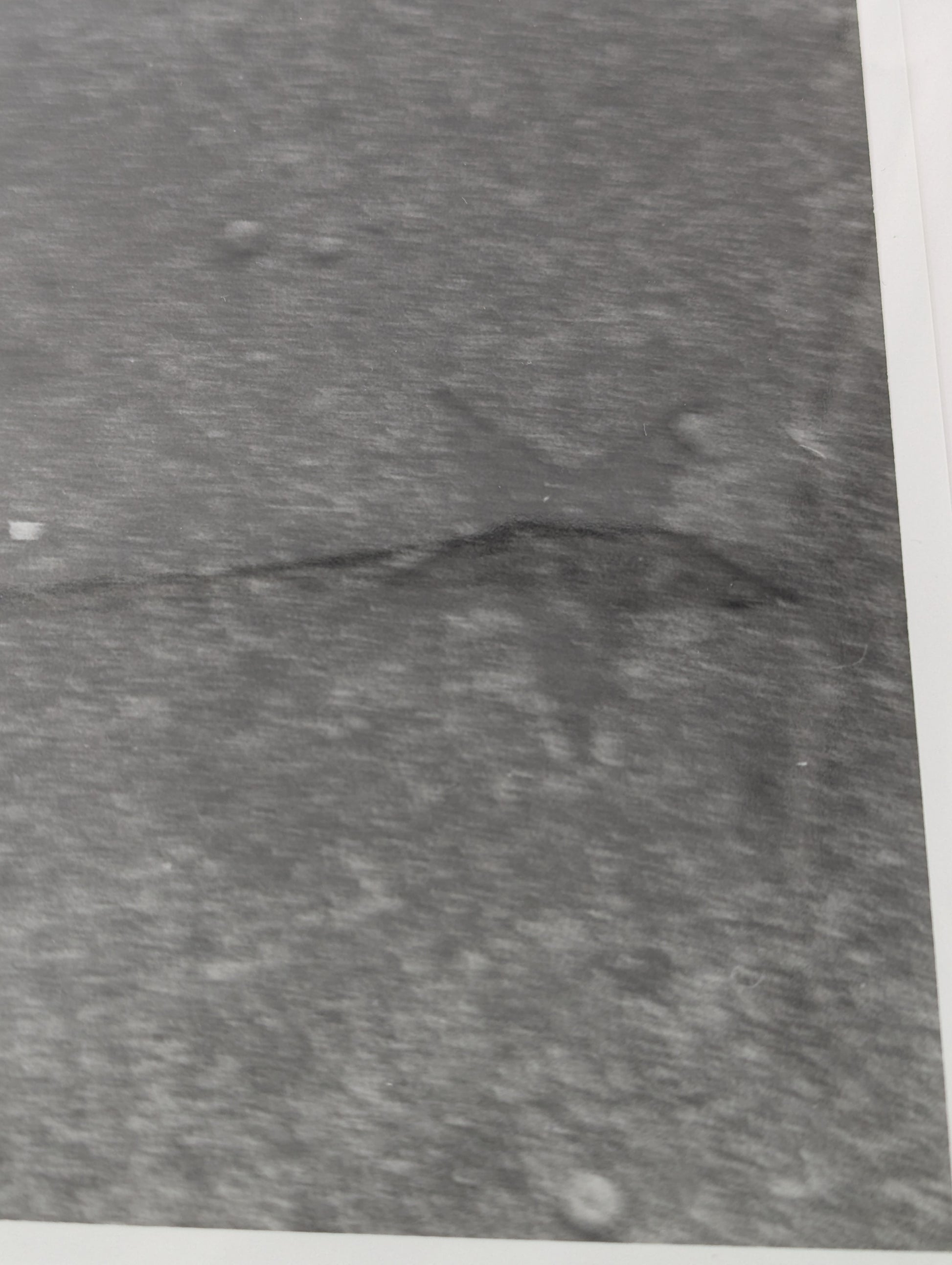 Close up of a black and white photo of stars pressed into a concrete sidewalk