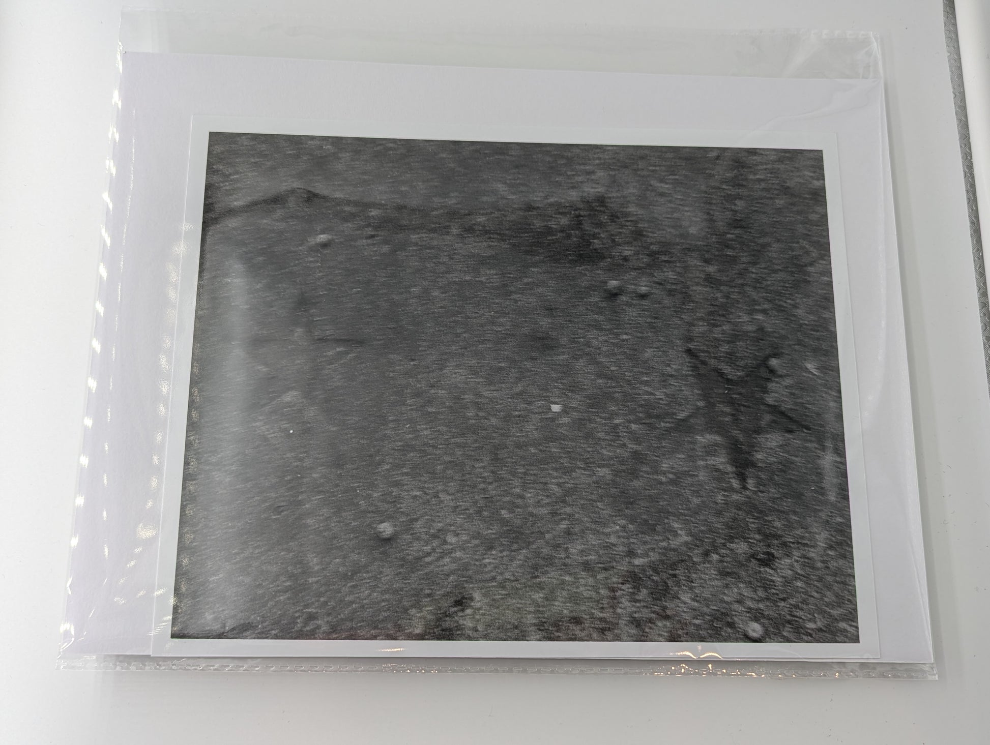 Black and white photo of stars pressed into a concrete sidewalk