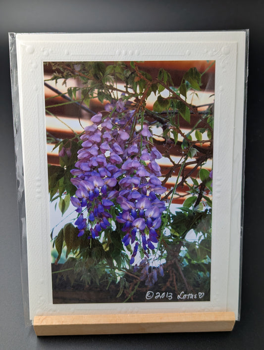 Greeting card with a photograph of wisteria